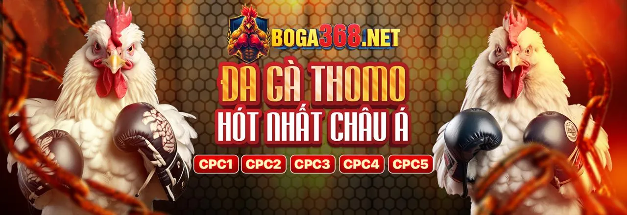 Trực Tiếp Đá Gà Chất Lượng Cao