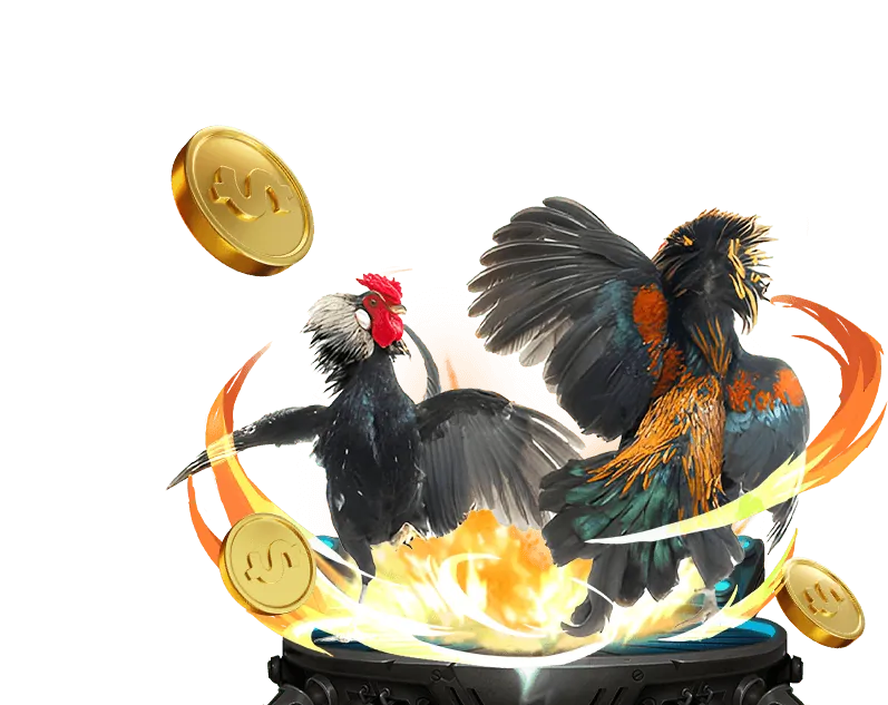 Người chơi đang xem chiến lược game slot